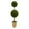 4ft. Boxwood Double Ball Topiary Tree in Planter